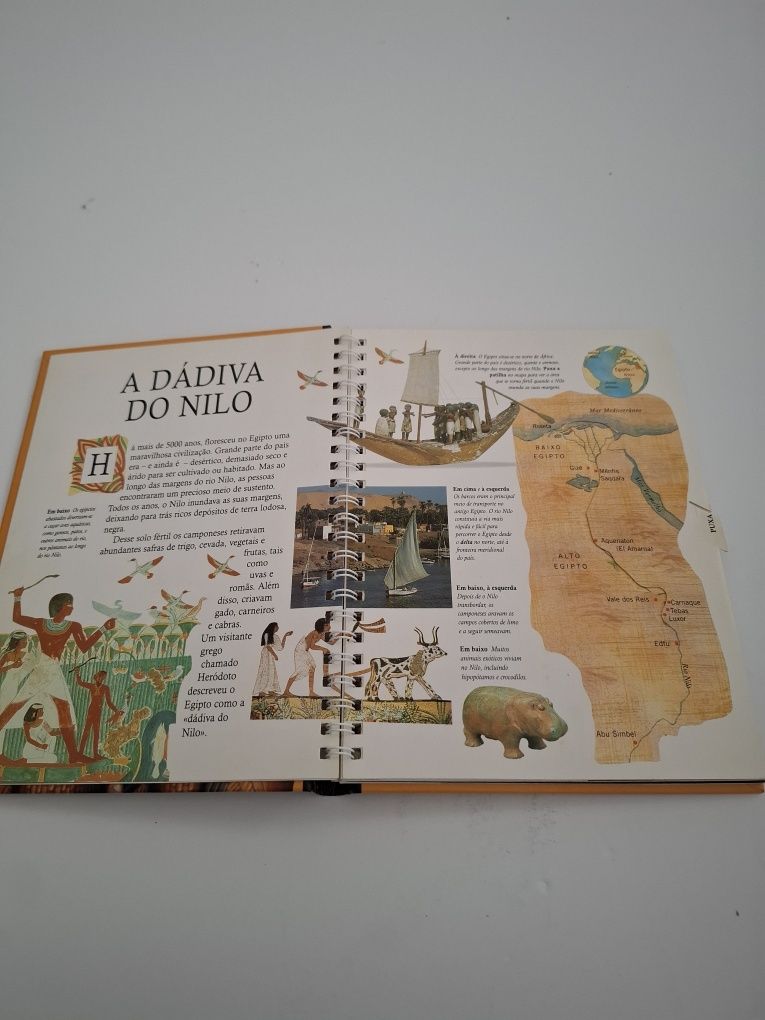 Livro Múmias e Faraós de Anita Ganeri