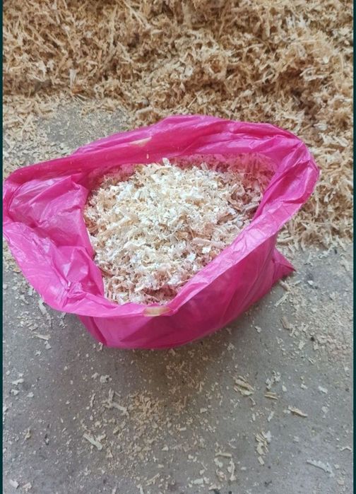 Grube Trociny dla Gryzoni i nie tylko