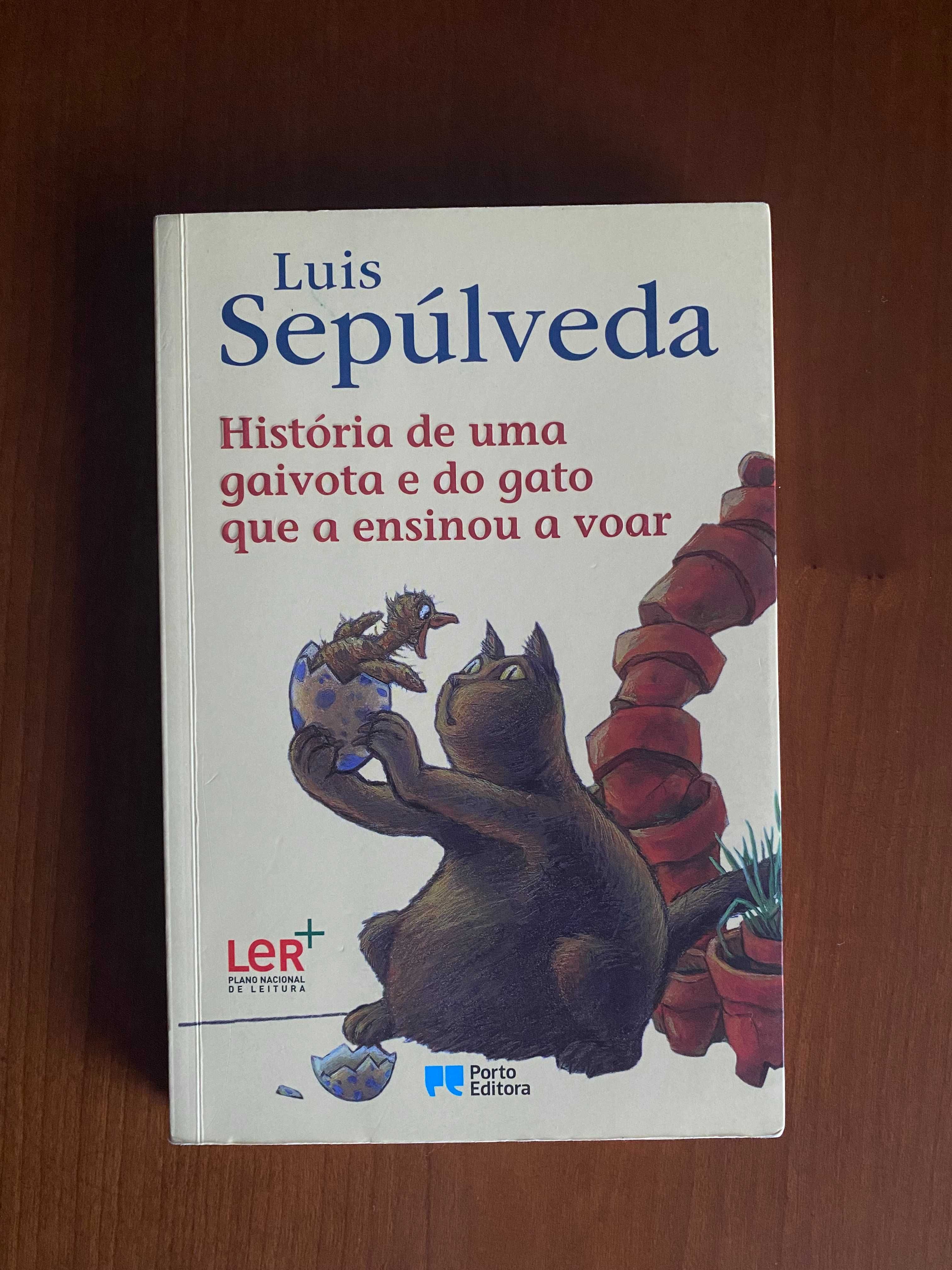 Livro "História de uma gaivota e do gato que a ensinou a voar"