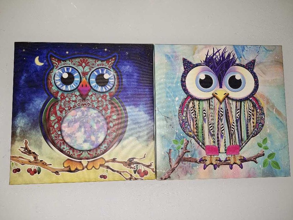 Obrazy z motywem sów sowy drukowane na płótnie 30x30cm GO-Bi obrazki