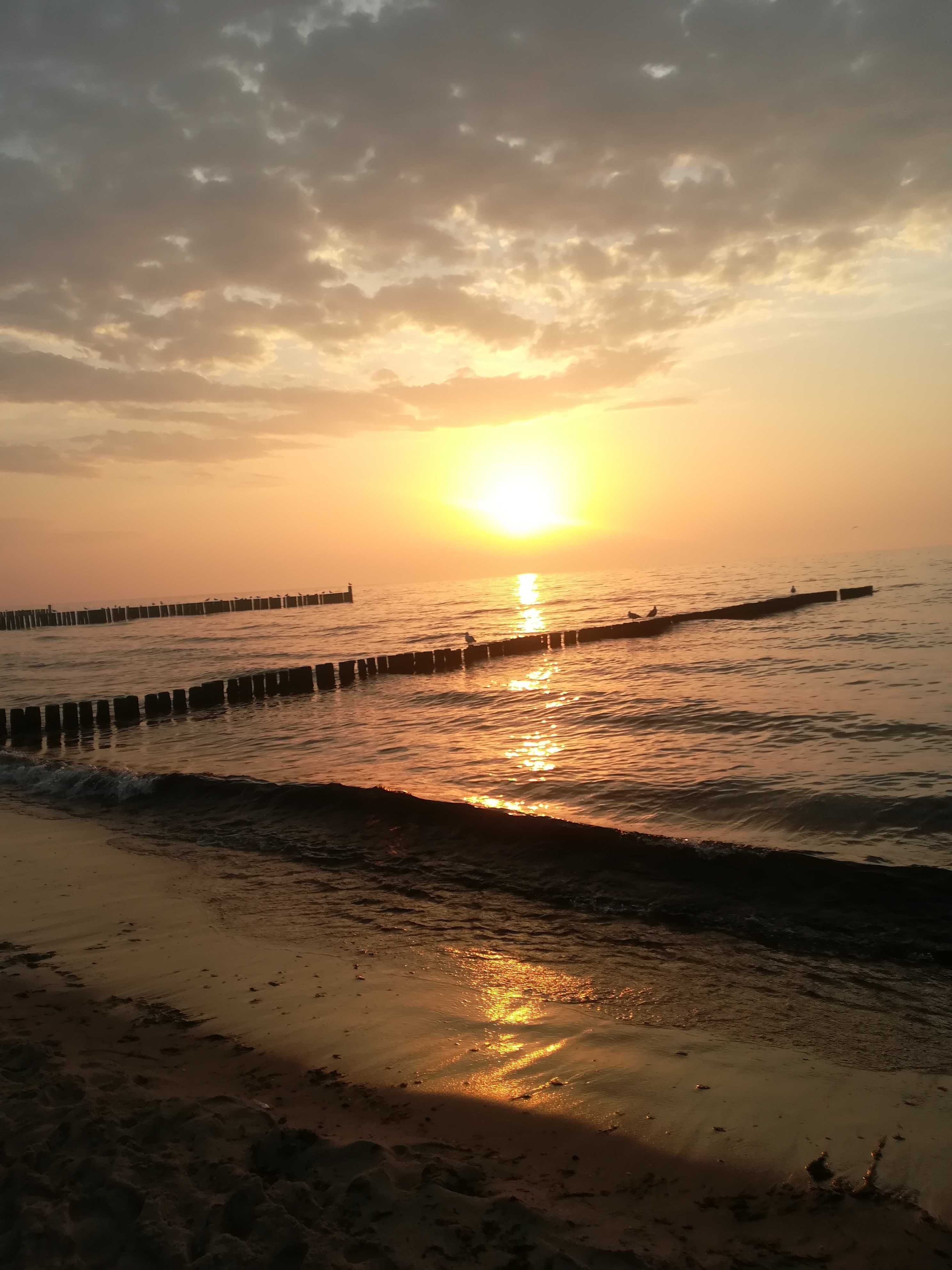 Wynajem domków nad morzem. 150m od plaży!