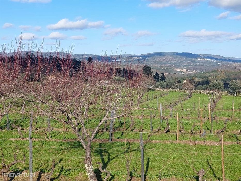 Quinta  Venda em Ribamondego,Gouveia