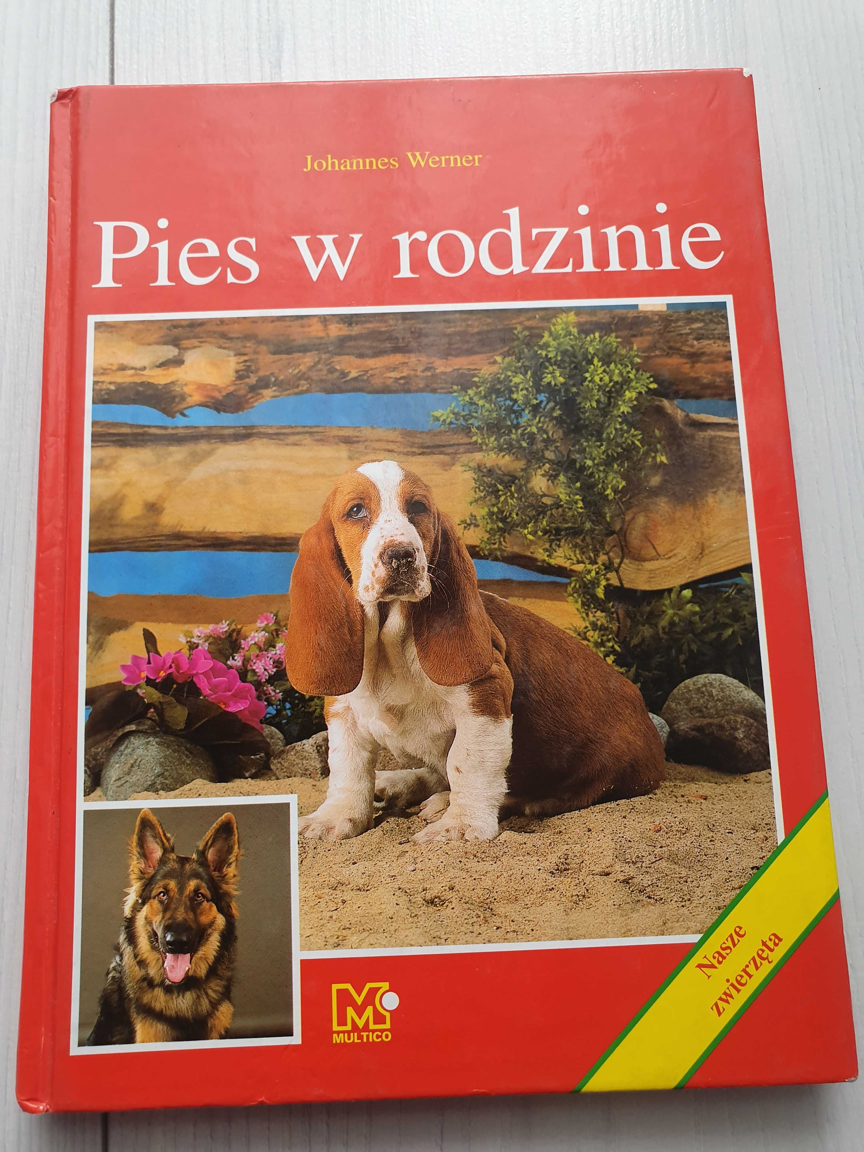 Poradnik Pies w rodzinie