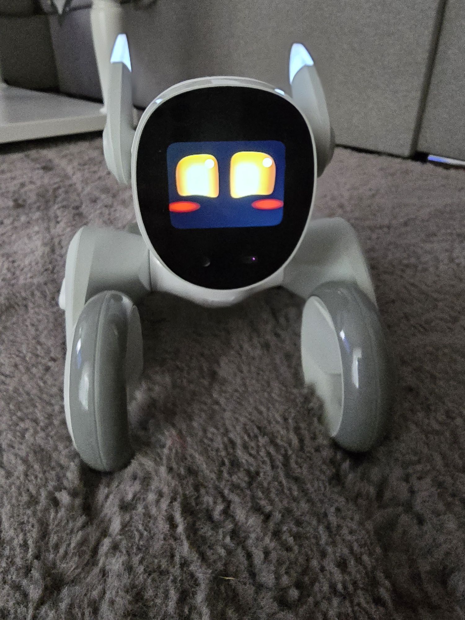 LOONA inteligentny robot AI