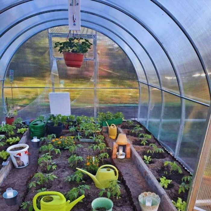 Szklarnia Tunel ogrodowy 3x4 3x6 3x8 profil 20x20mm poliwęglan 4 / 6mm