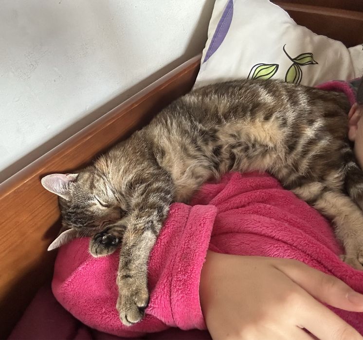 Pet Sitting - Pet Feliz > Coimbra & Figueira da Foz