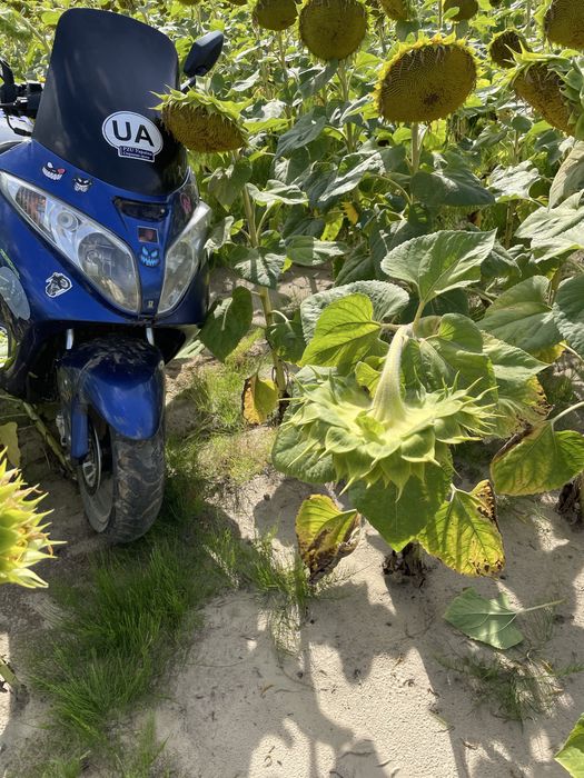 Спарк 165 кубів