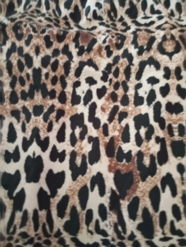 Missguided , opalacz 50