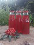 Jarzębina, sok z jarzębiny 330ml