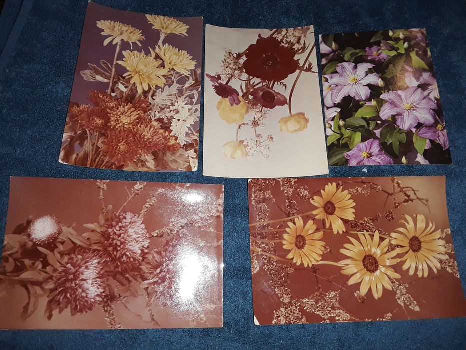 5 x pocztowki z kwistkami z 1975