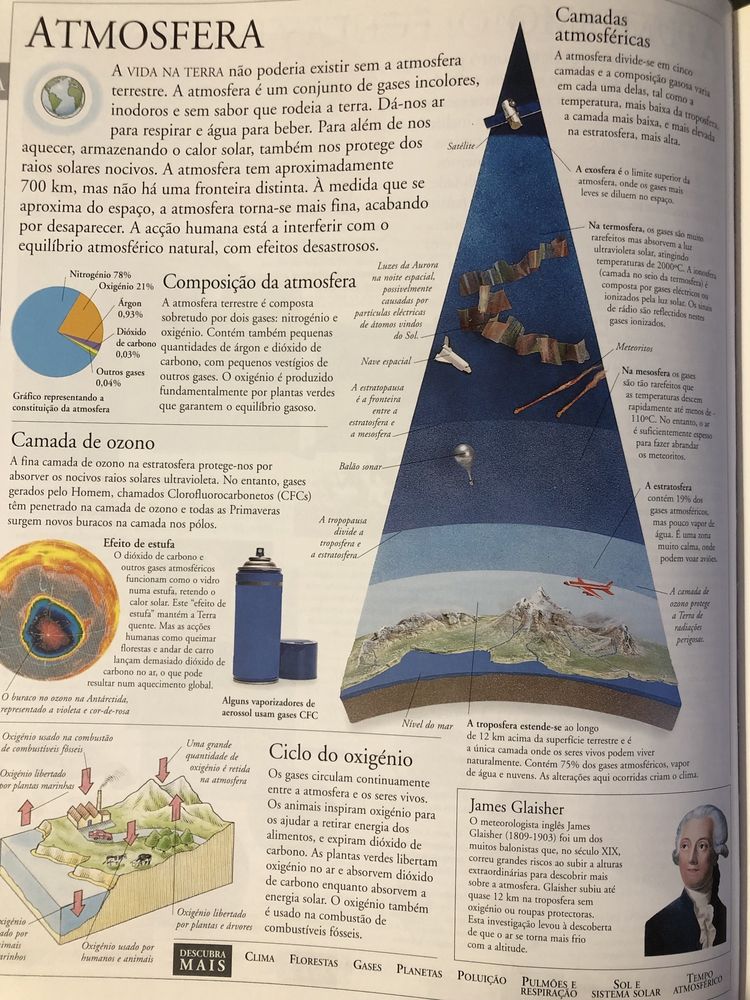Enciclopedia ilustrada da família.
