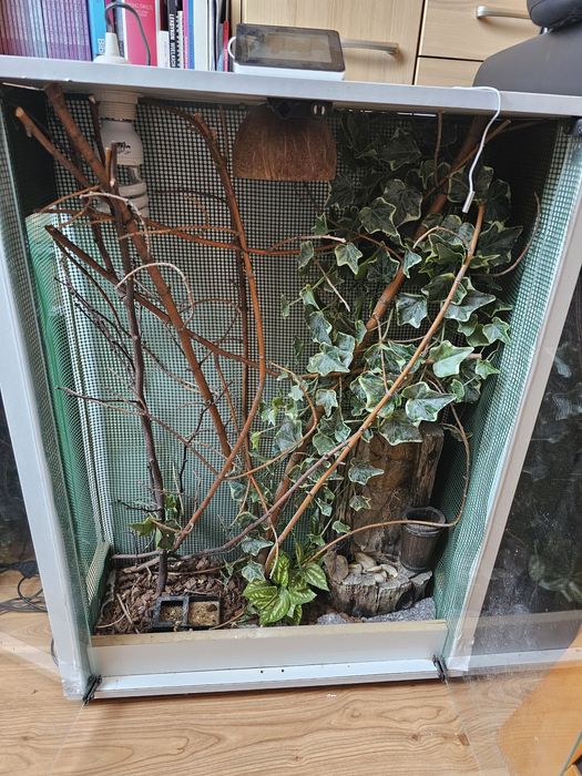 Terrarium dla kameleona gekona