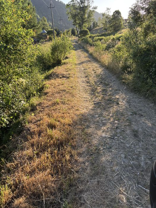 Земля в карпатах