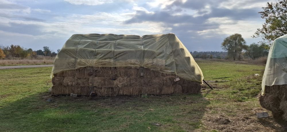 Продам сіно у тюках