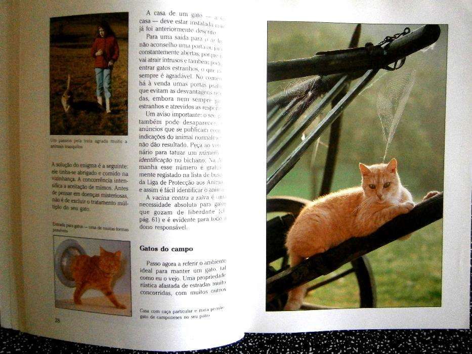 Raças de Gatos  Manual