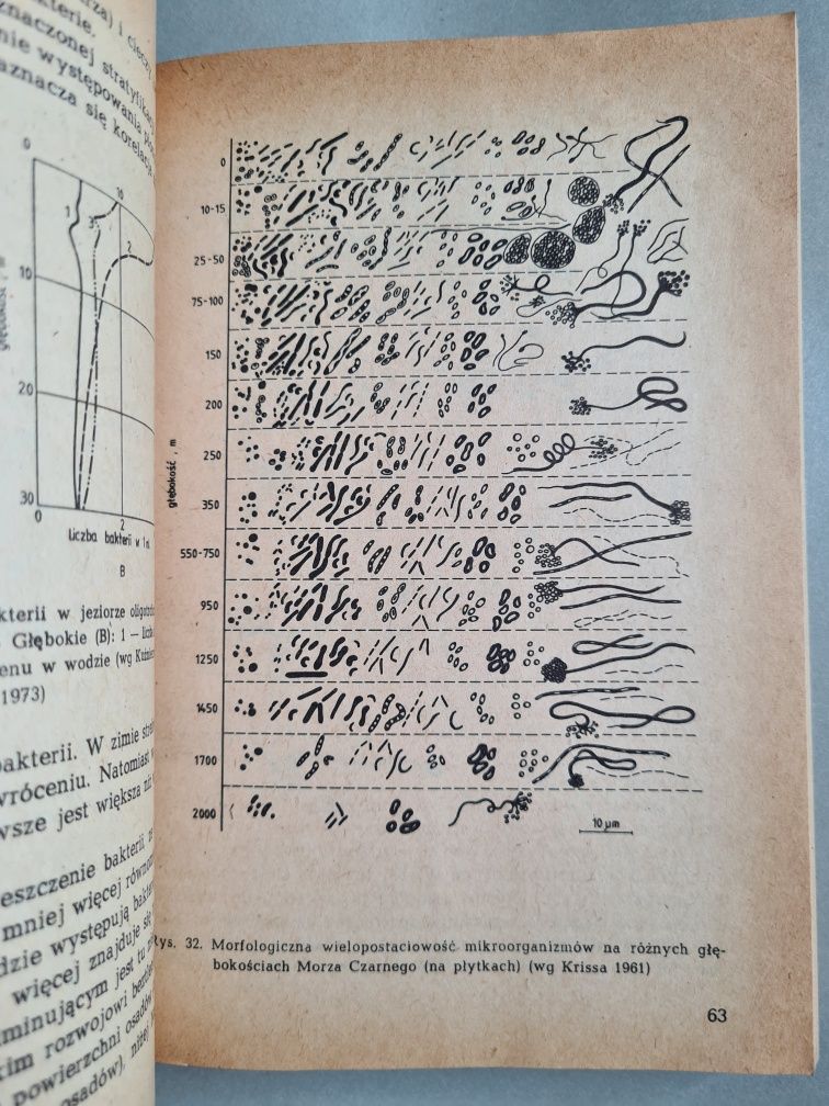 Zarys hydrobotaniki - Z.Podbielkowski, H.Tomaszewicz