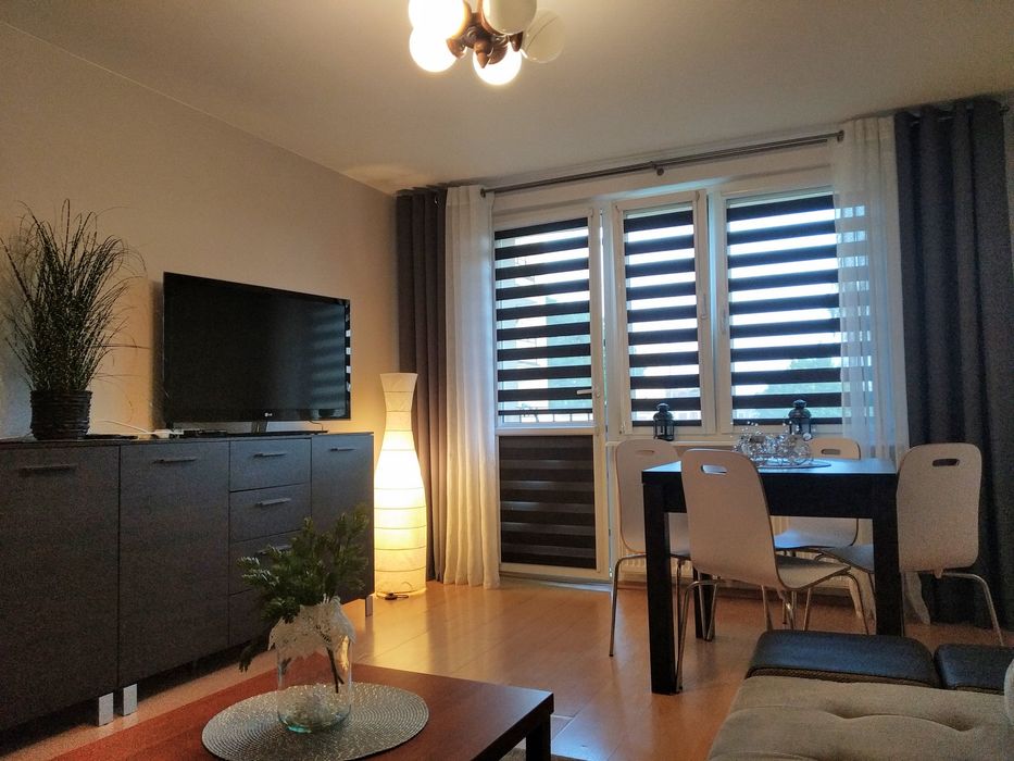 Kawalerka na wynajem