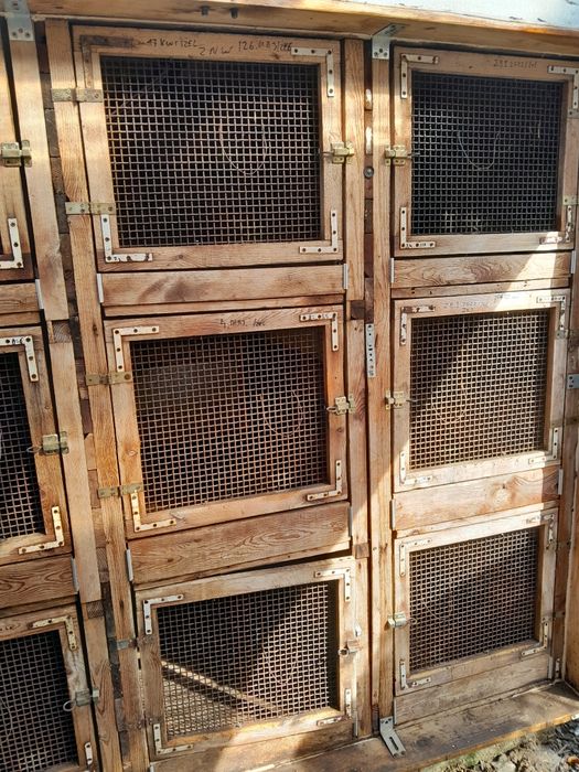 Klatka dla królików Rezerwacja