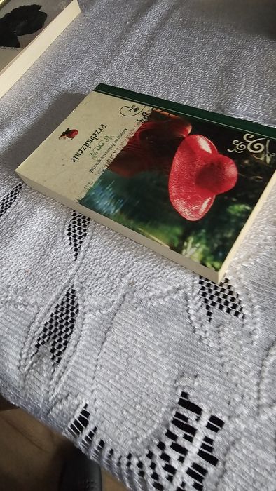 Katarzyna Zyskowska Ignaciak.Przebudzenie.