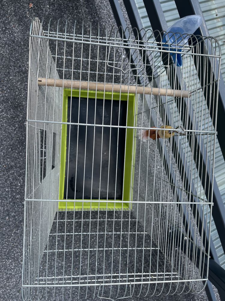 Klatka dla ptaków