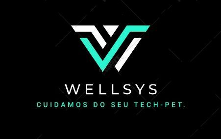 Reparação informática Wellsys.tech