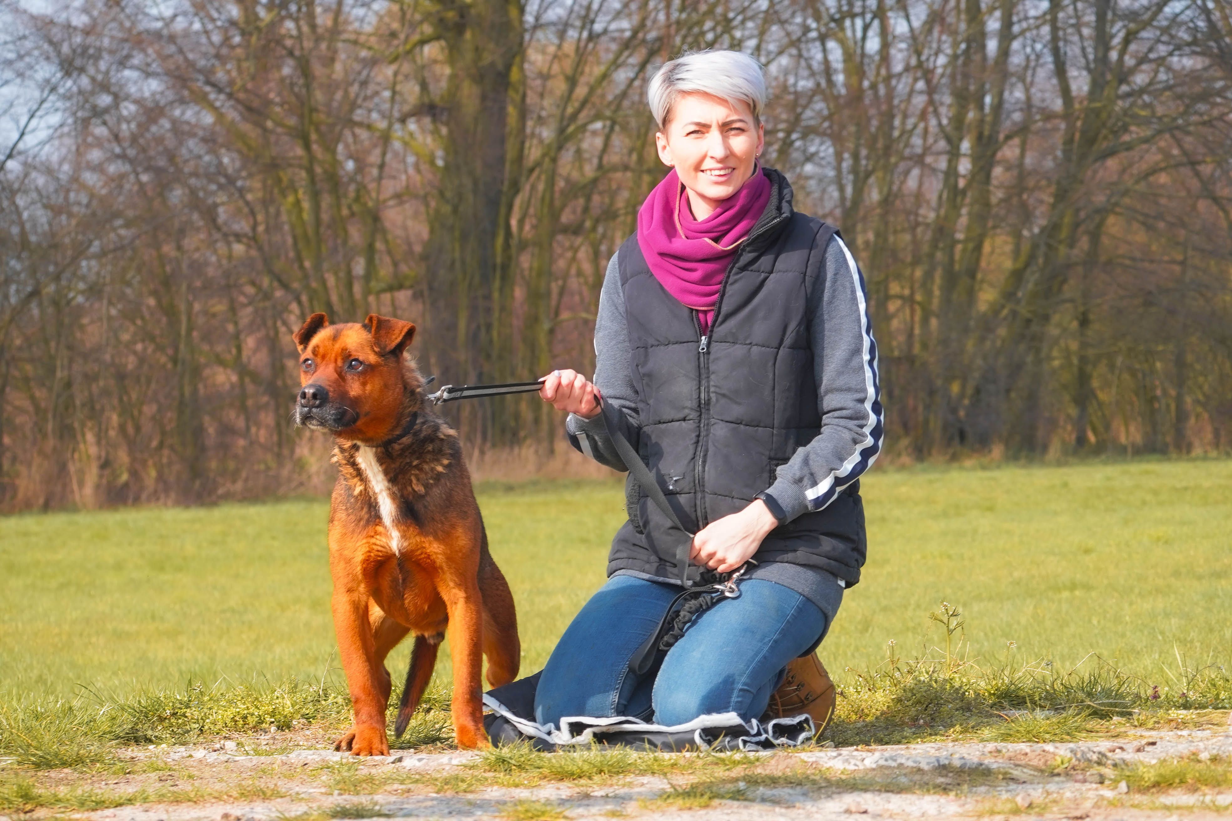 Mateo słodziak czeka na domek