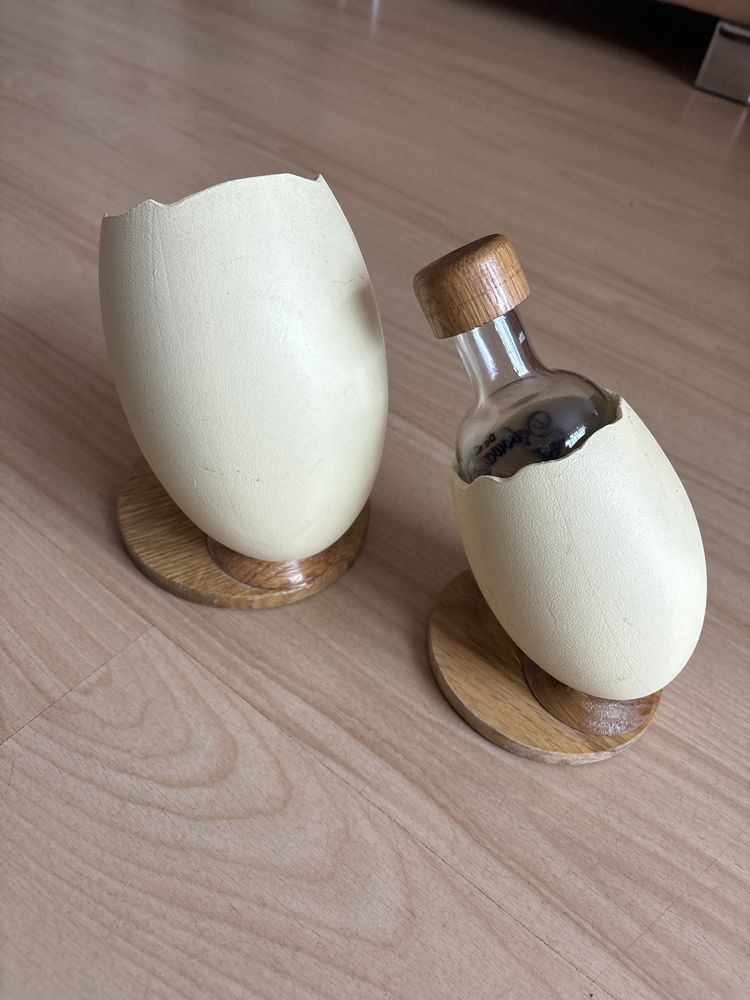 Skorupka jajka na drewnie