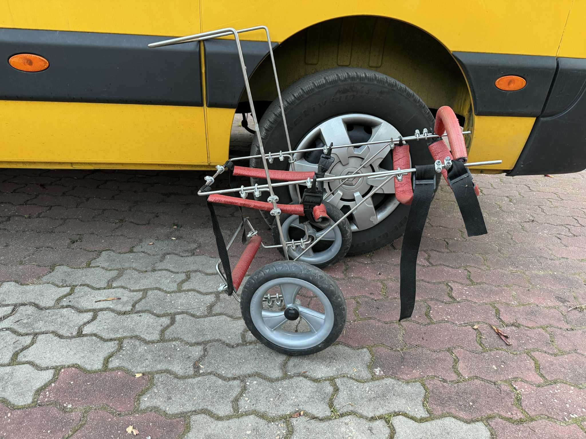 Wózek dla psa inwalidzki, rehabilitacyjny