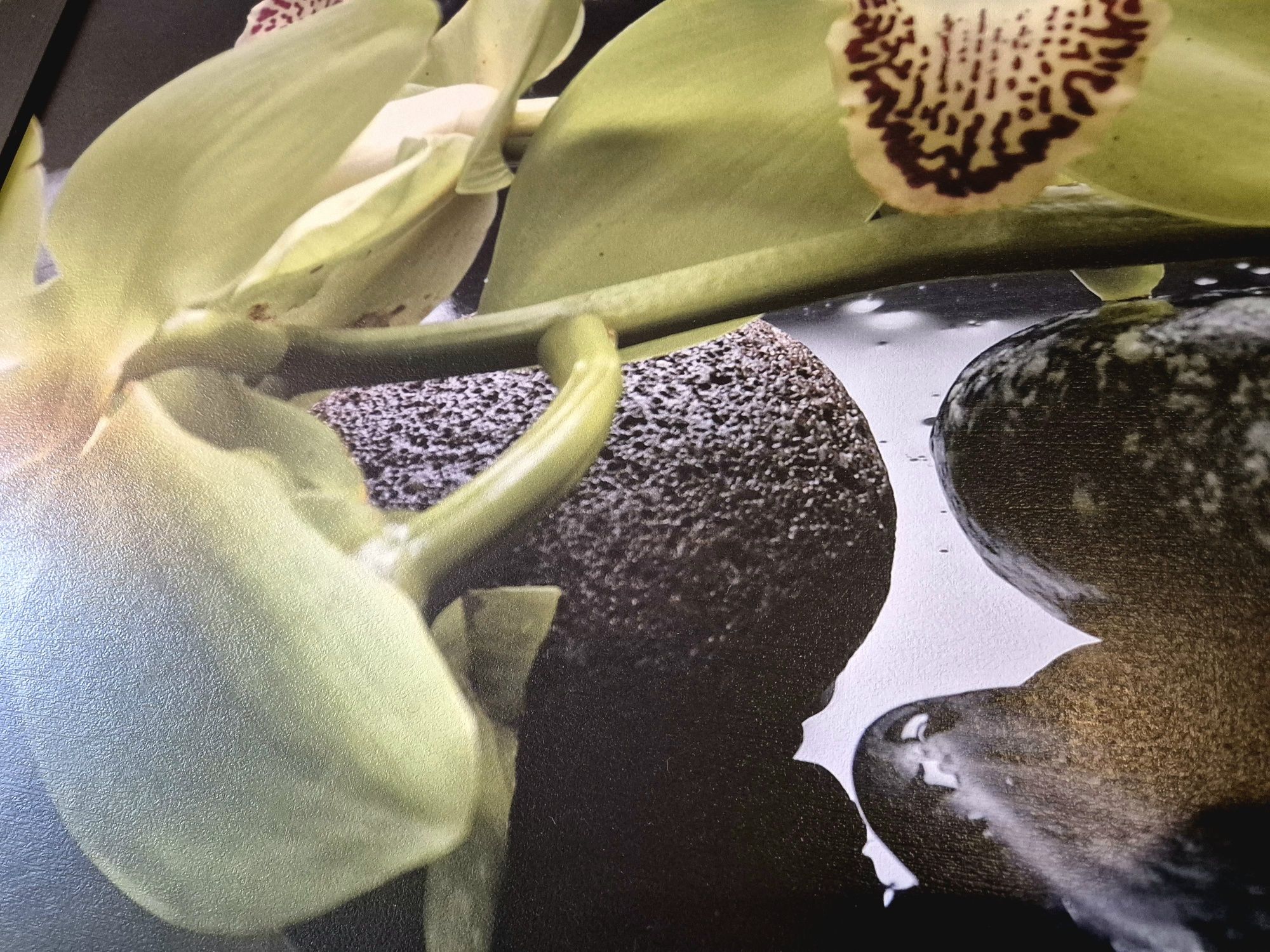Duży obraz z orchideami