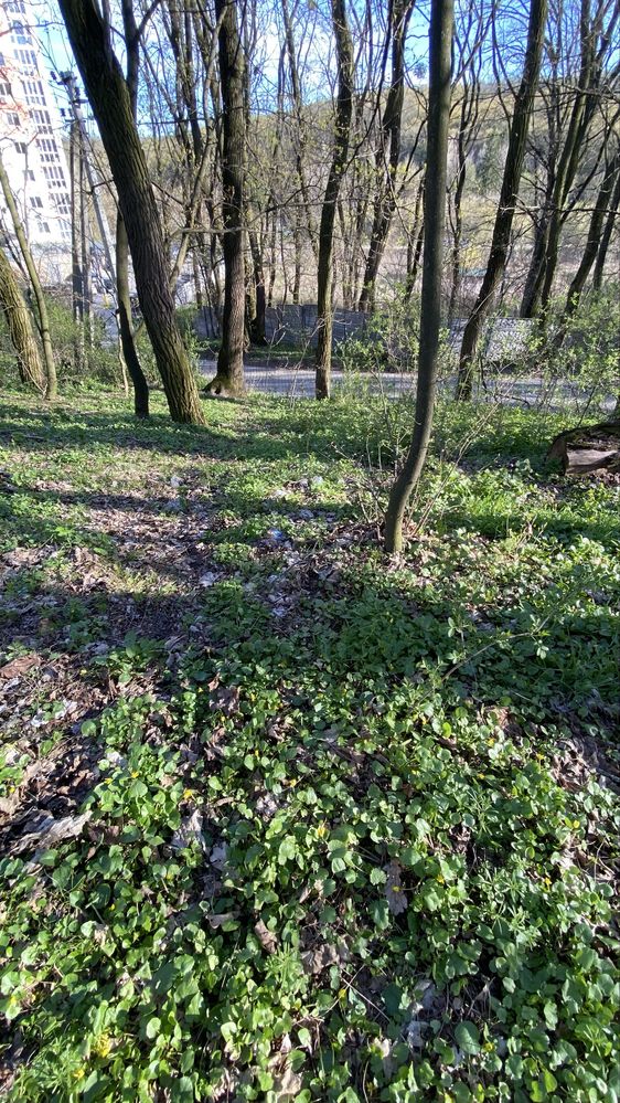 Ділянка 15 сот., м. Обухів р-н Школа