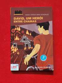 David, Um Herói Entre Chamas- Maria Teresa Maia Gonzalez