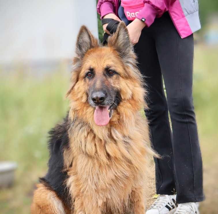 spokojna seniorka czeka na dom