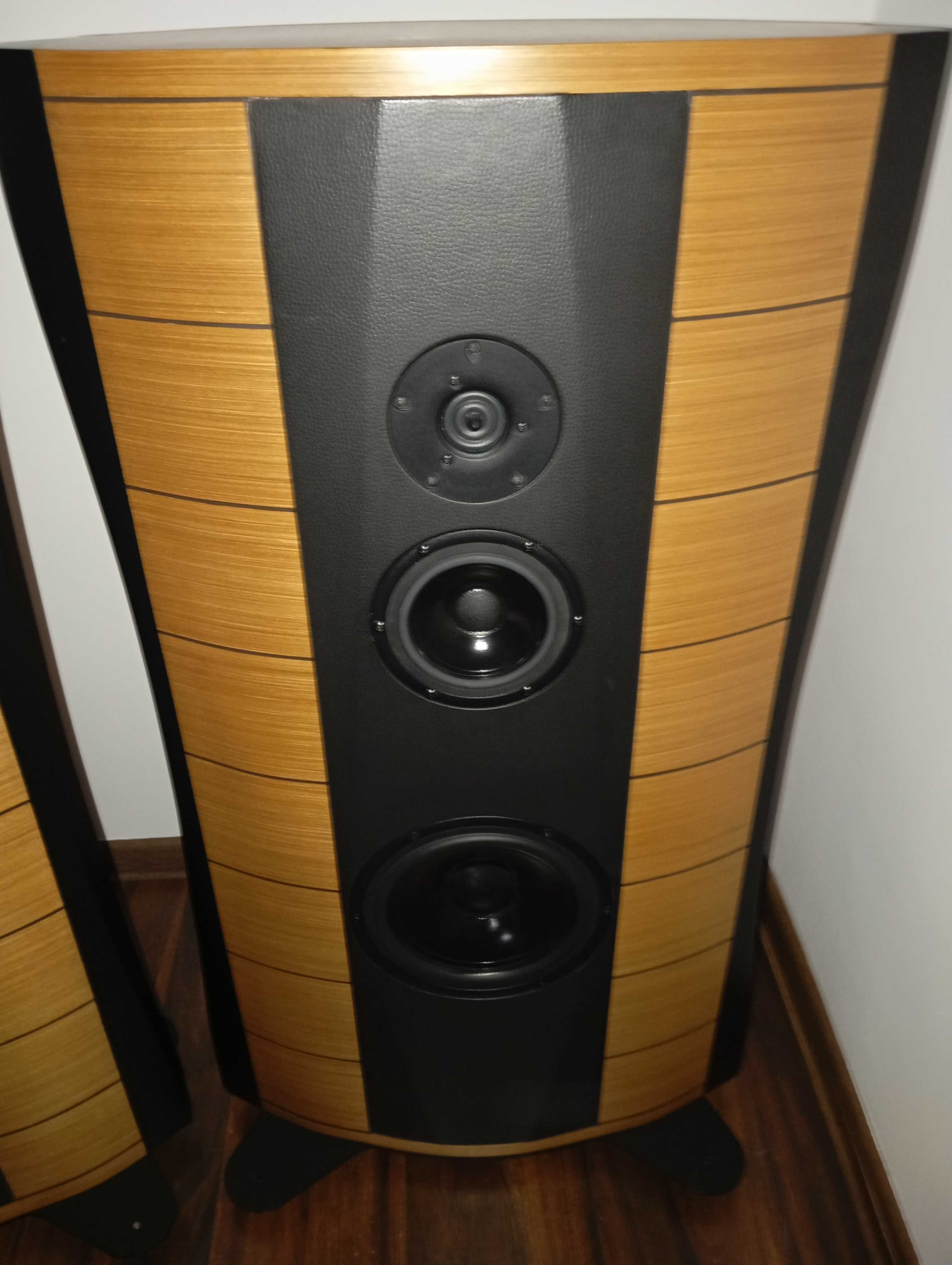 Troels Gravesen PMS DIY Sonus Faber  Scanspeak zobacz warto.
