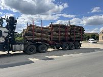 Drewno opałowe kominkowe buk dab akacja grab sosna brzoza jesion