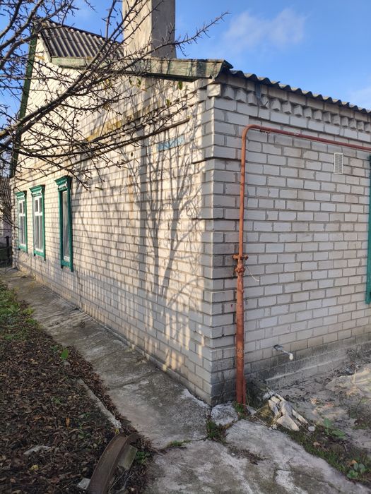 Кринички продається будинок 100 кв.м
