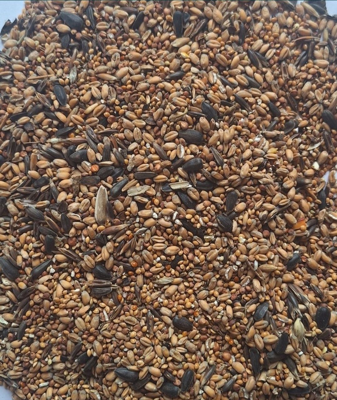 Pokarm zimowy Danimo do karmnika 14 kg. Mieszanka Dla ptaków zimującyc