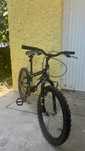 Bicicleta Infantil BERG Harlem 20” — Aventura garantida!