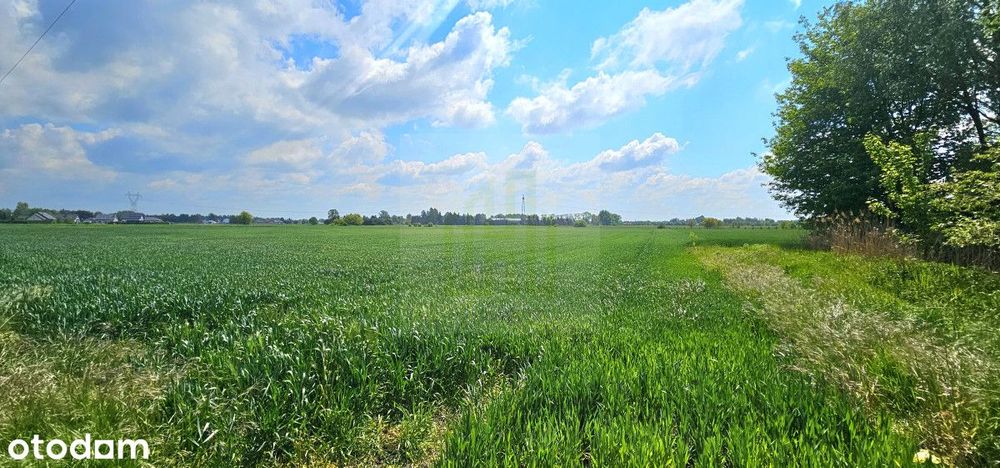 Piękna działka w Bieniewicach na osiedlu domków