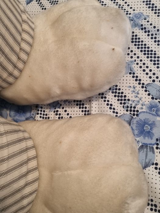 Boneco de peluche
