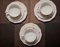 Filiżanki spodki talerzyki deserowe Rosenthal SELB-BAVARIA MARIA