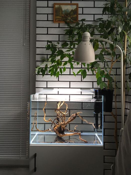 Akwarium Optiwhite 60x40x40 (96l)