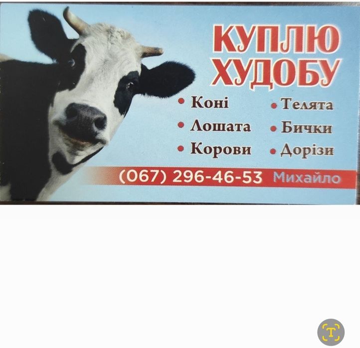 Перевезення худоби