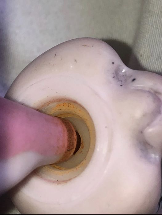 Piesek dog lps 100% org