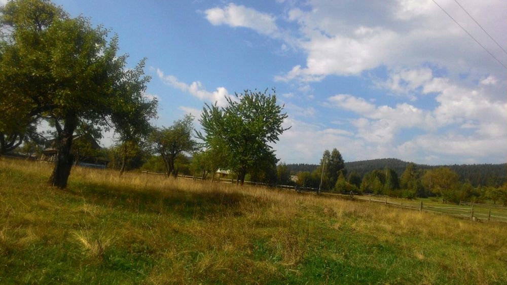 Земельна ділянка в горах Микуличин Карпати Буковель земля в Карпатах