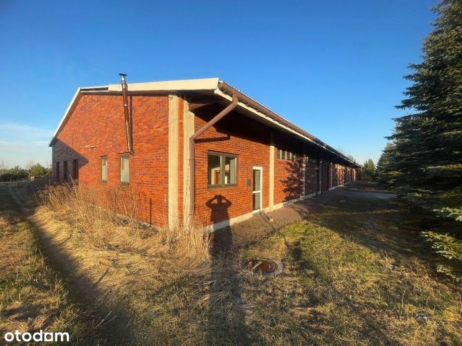 Hala magazynowo-produkcyjna z powierzchnią biurową