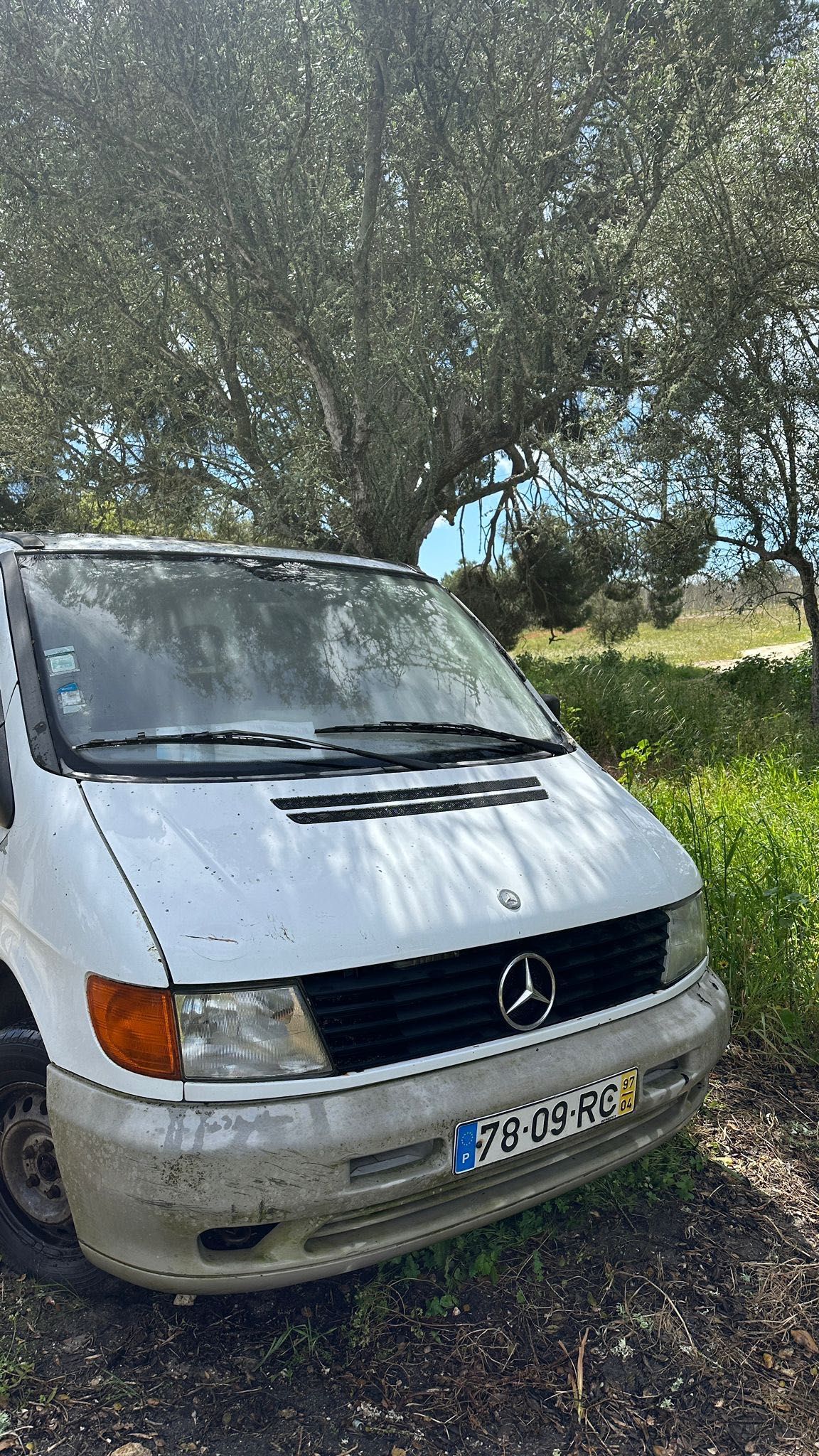 Carrinha Mercedes usada