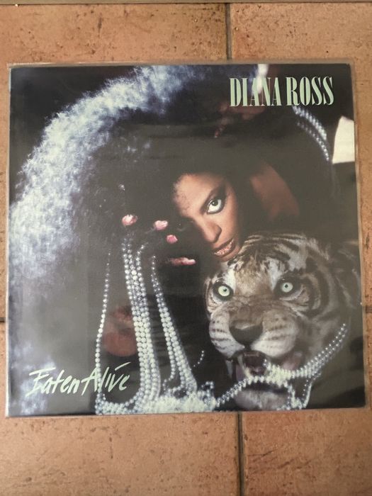 Discos de vinil variados