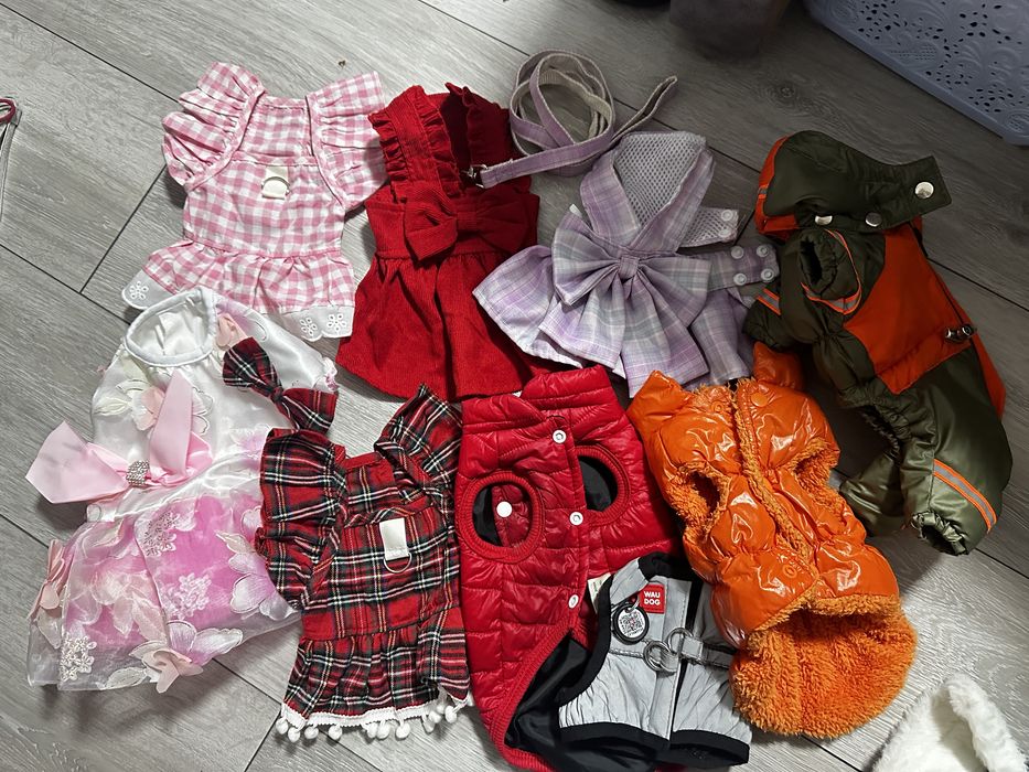 Лот речей для собаки міні/одяг для собак