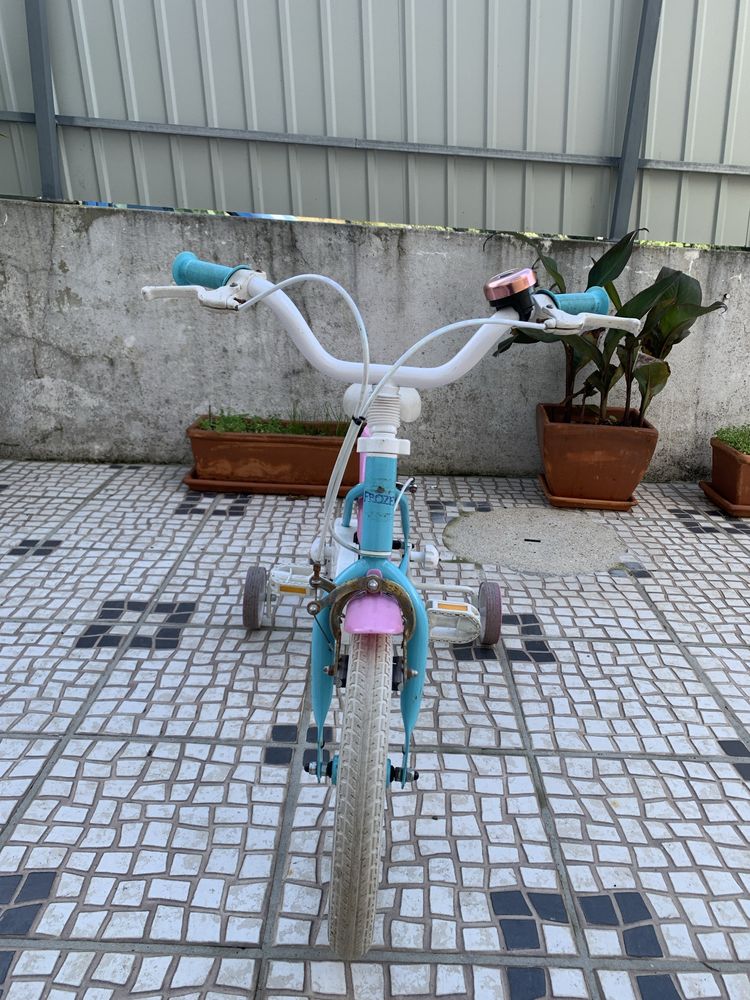 Bicleta Frozen roda 14