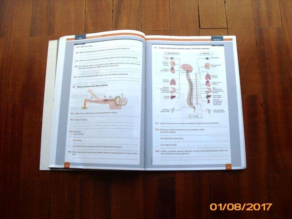 Descobrir a Terra 9 - Ciências Naturais 9ºAno